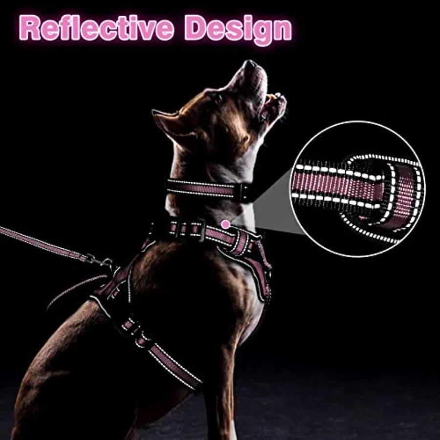 Pet Harness Collar and Leash Set: Reflective Nylon Dog Harness for Puppies and Small Dogs, Black, No-Pull Design with Adjustabl