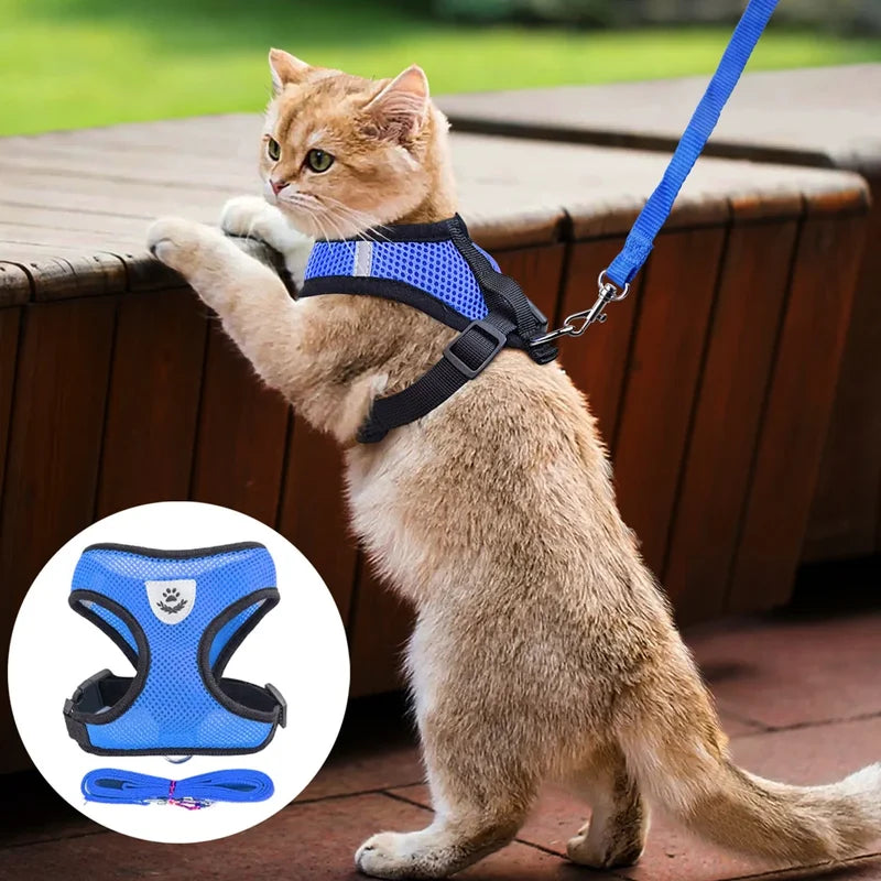 Adjustable Reflective Pet Harness With Leash For Dogs And Cats