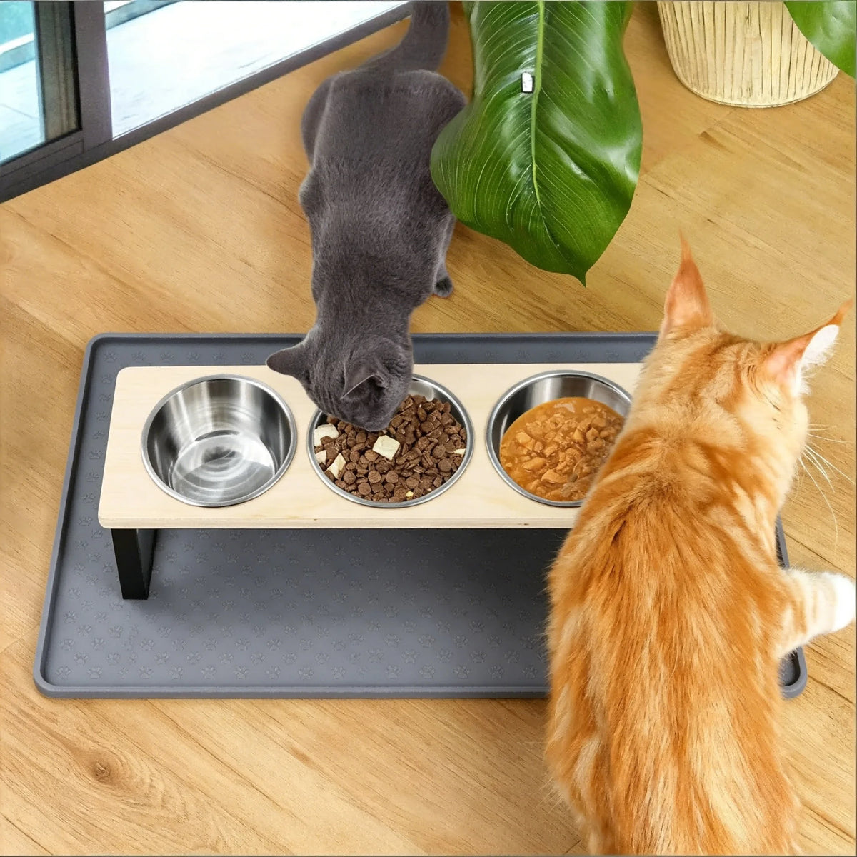 Elevated Stainless Steel Cat Feeder With Tilted Bamboo Stand