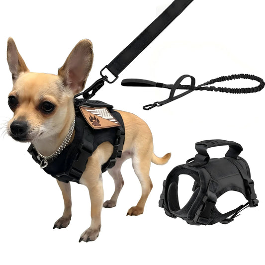 Adjustable Nylon Dog And Cat Harness With Leash Set