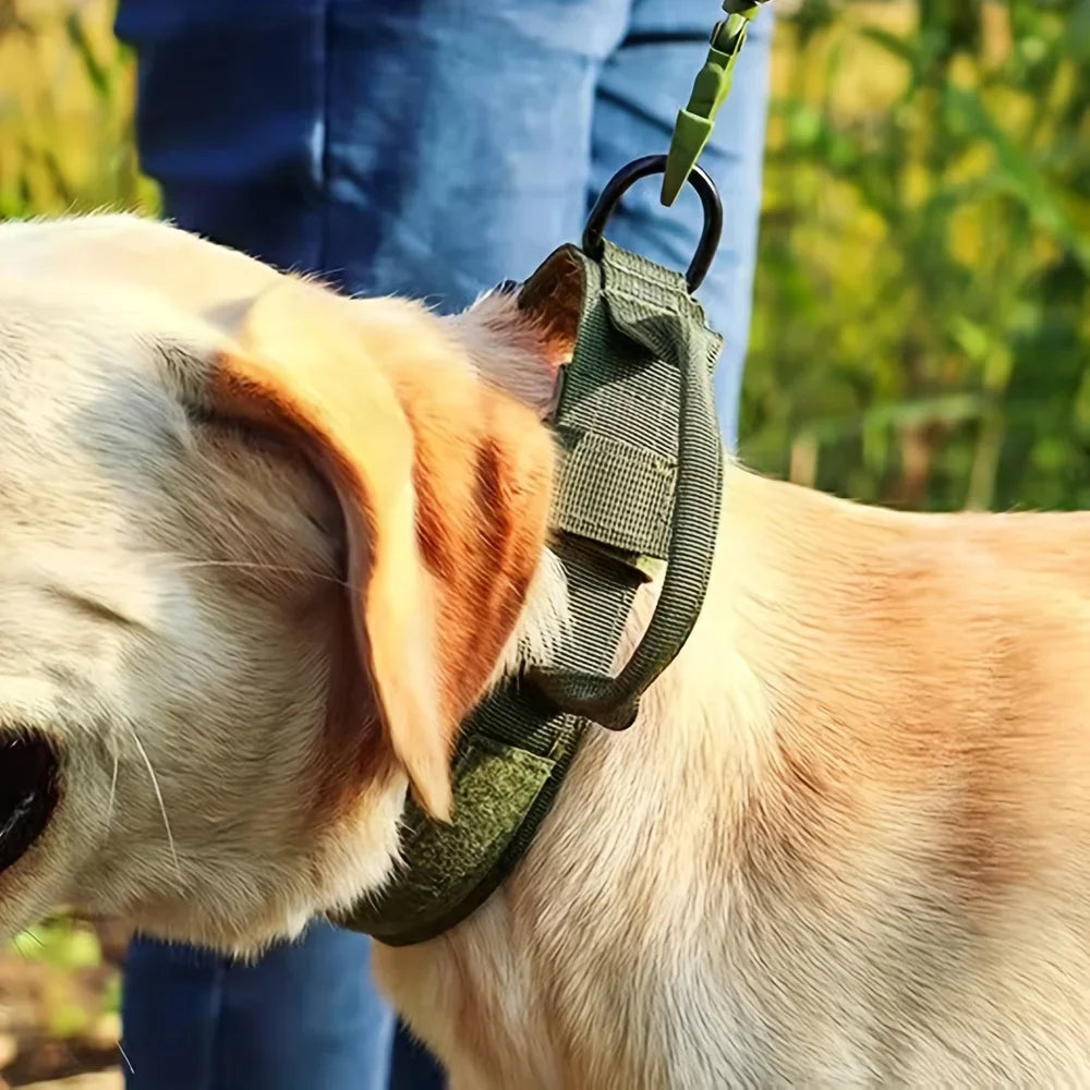 PetraVel Adjustable Nylon Dog Harness And Collar For Outdoor Walks