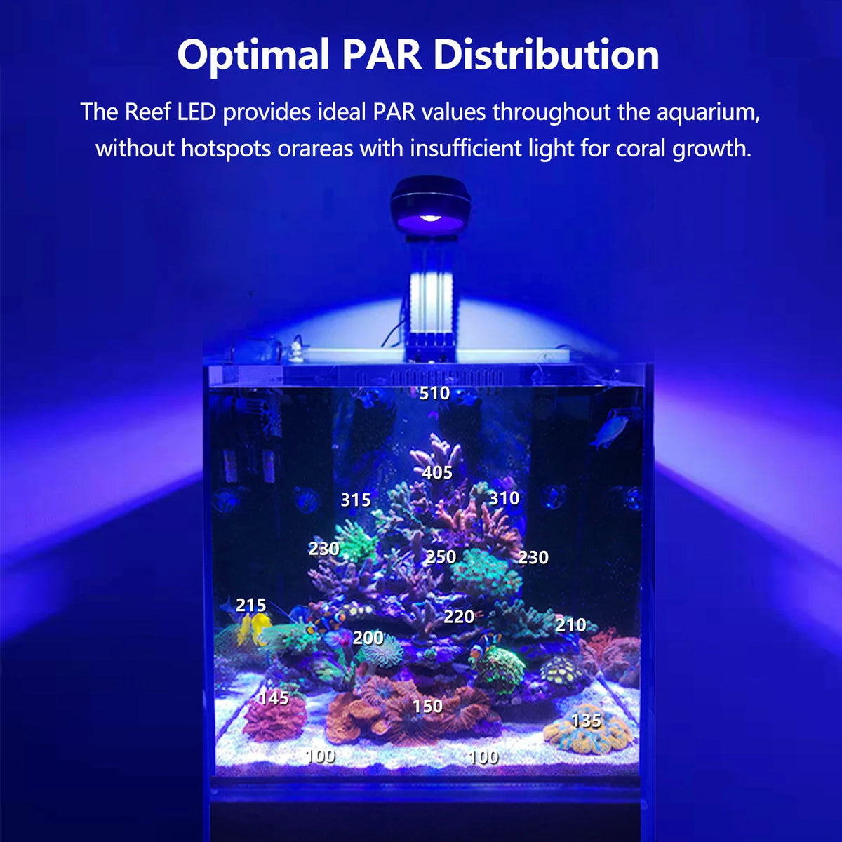 Newest PopBloom 60W 80W Nano Aquarium Light, Professional LED Aquarium Lamp High PAR for SPS/LPS Corals Saltwater Fish Aquarium LED