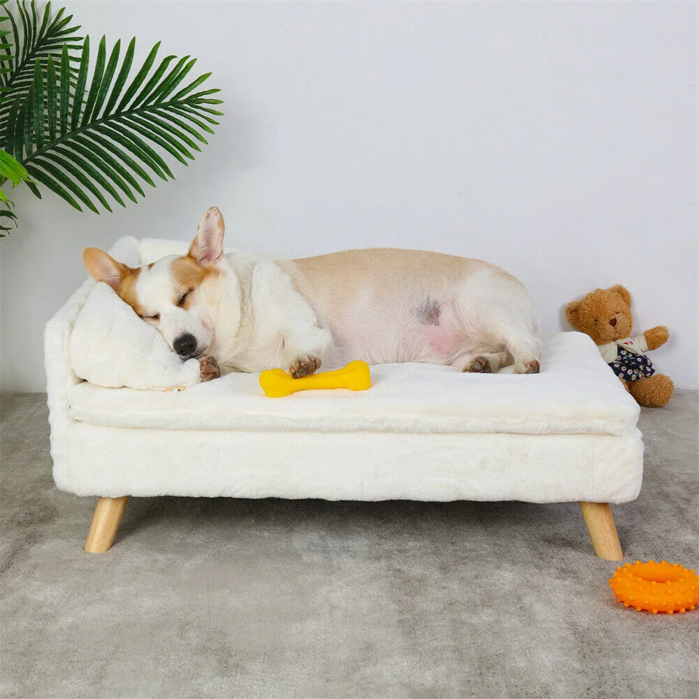 BORWART Elevated Dog Sofa Bed With Plush Waterproof Cushion