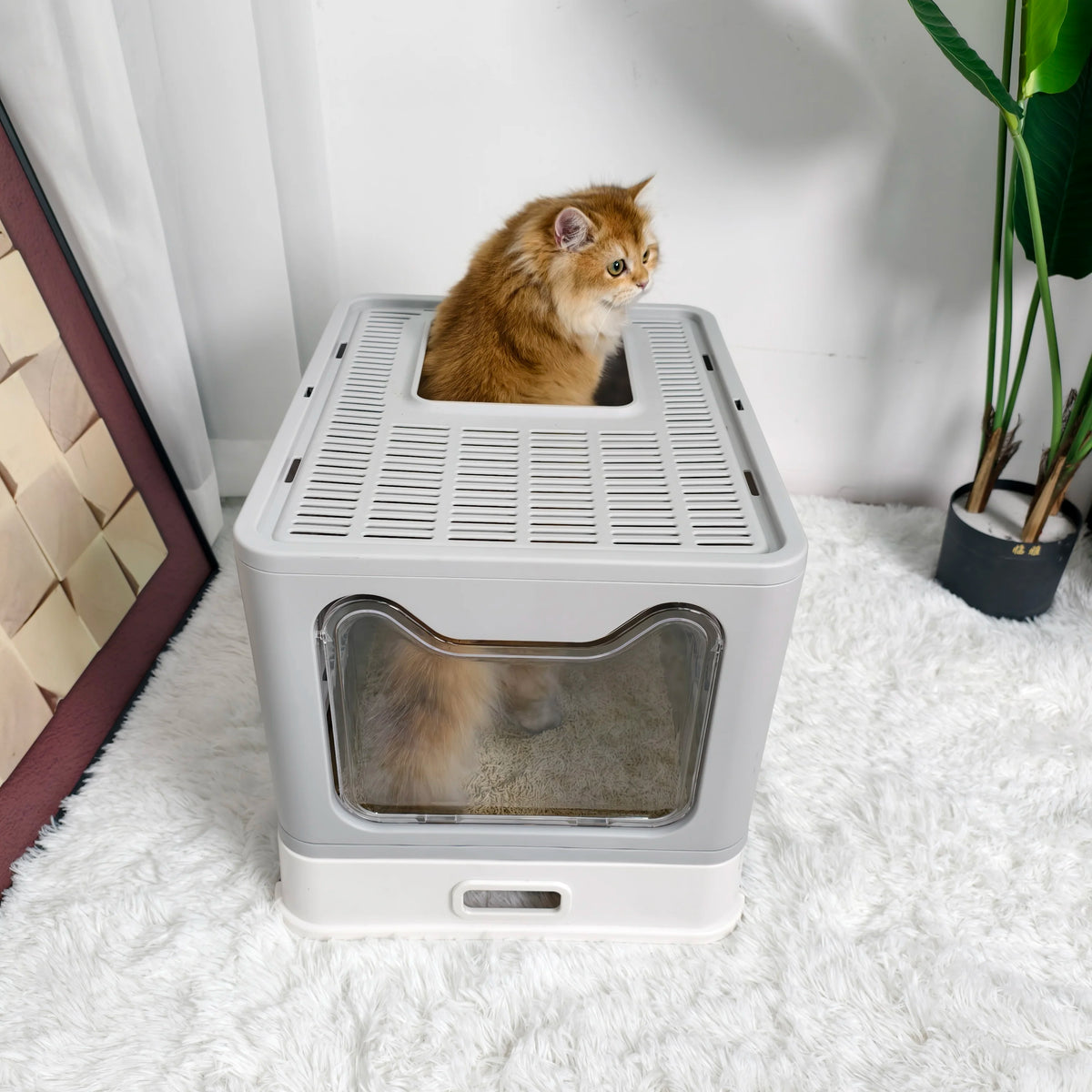 Covered Front Entry Cat Litter Box With Top Exit Scoop