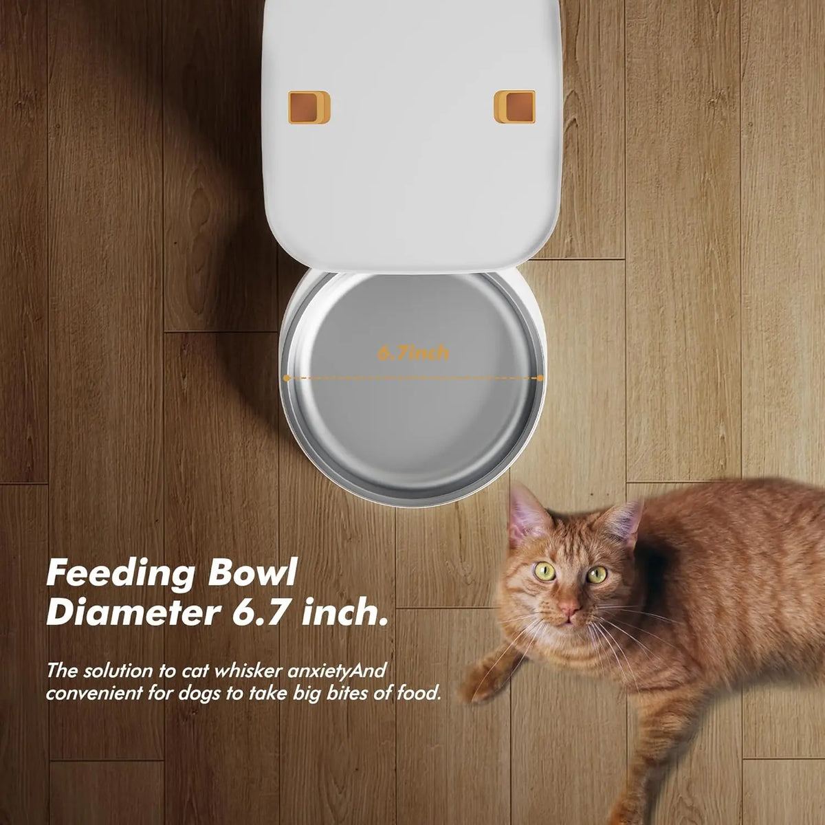 NITYERS 8L Automatic Cat Feeder, Smart Pet Food Dispenser with Key Control, Voice Recorder, Dual Power Supply, Timed Auto Dog Feeder with Stainless Steel Bowl