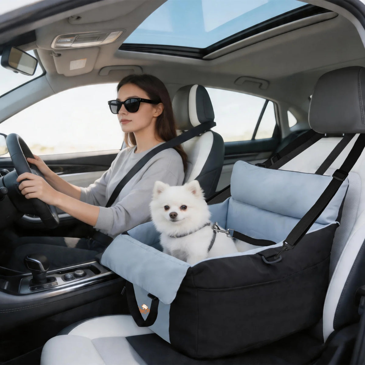 BINGOPAW Dog Car Seat Booster For Small Dogs Travel Carrier