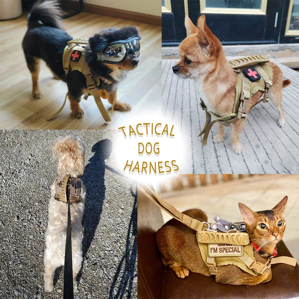 Adjustable Nylon Dog And Cat Harness With Leash Set