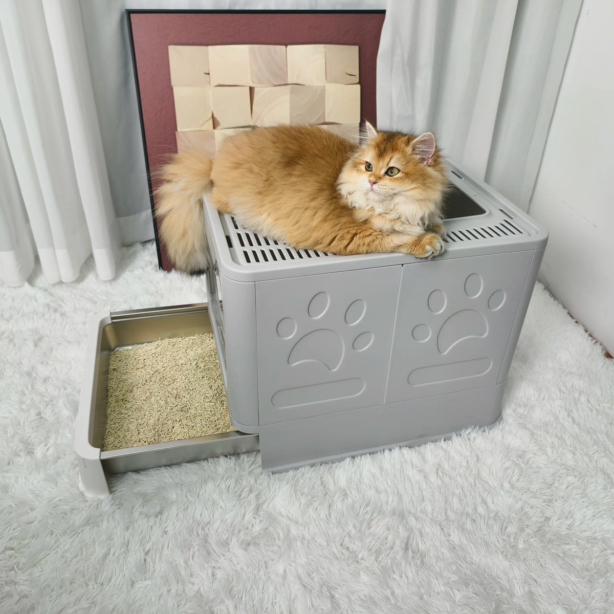 Covered Front Entry Cat Litter Box With Top Exit Scoop