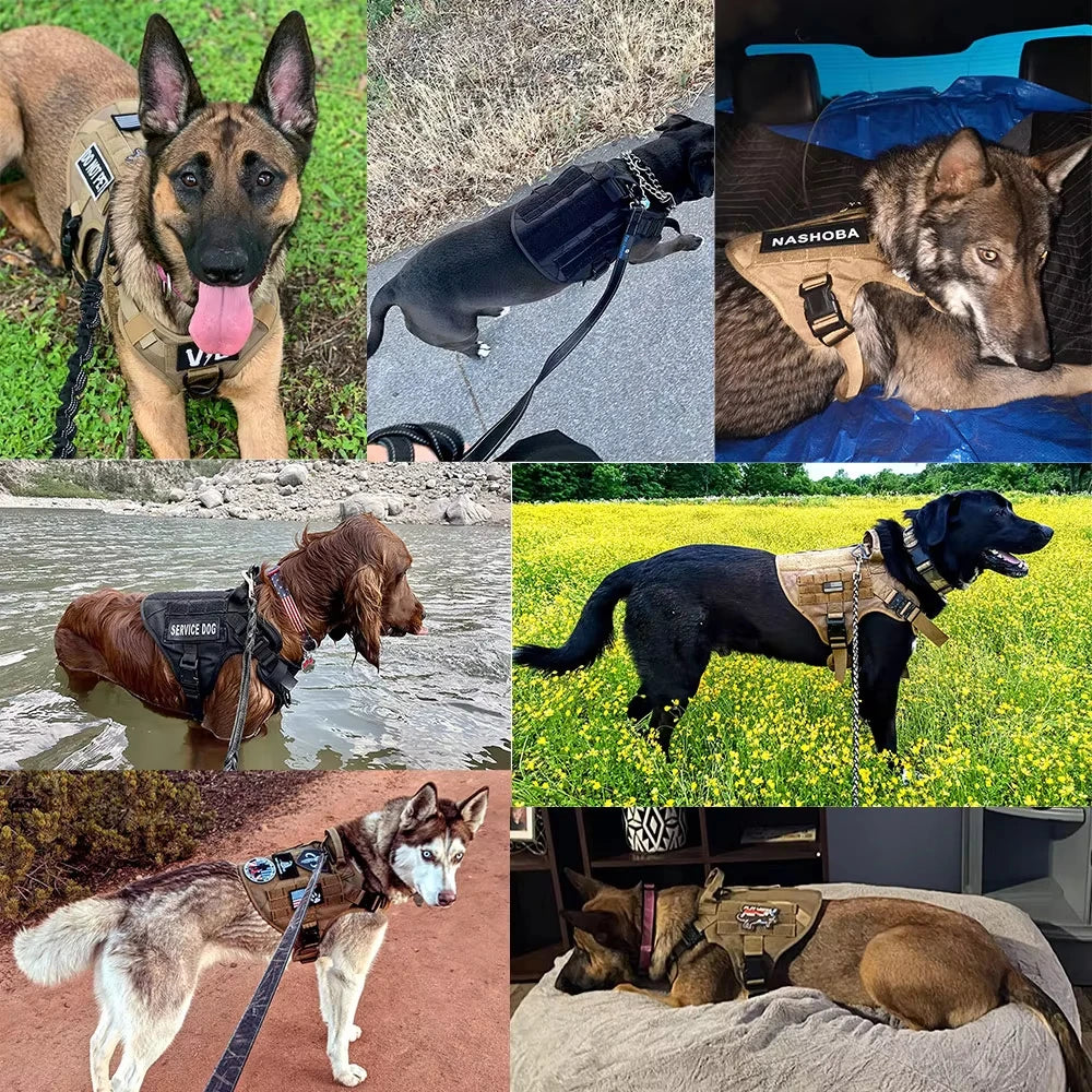 Petravel Tactical Large Dog Harness Vest Quick Release Padded Design