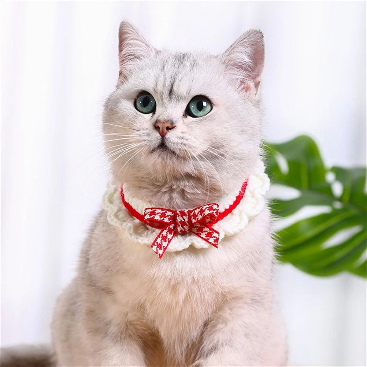Soft Bow Knot Adjustable Knitted Collar For Cats And Dogs