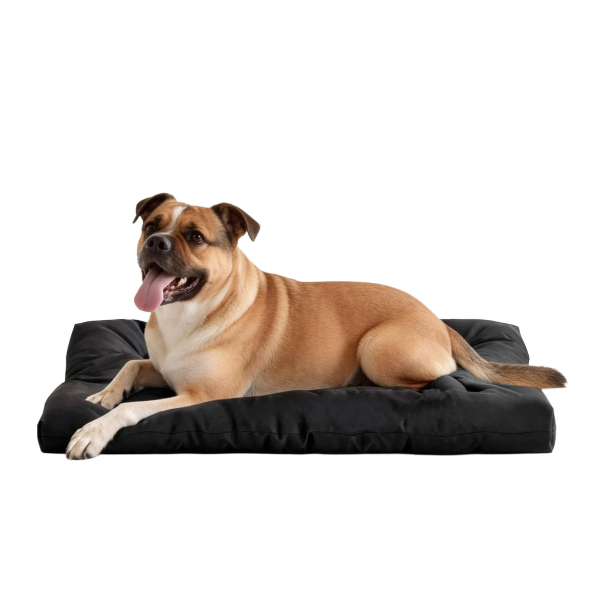 Indestructible Chew Proof Dog Bed Waterproof Durable Kennel Crate Pad